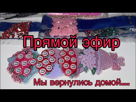 Видео: Помой эфир! Я дома! Сирены орут ! Но дома очень хорошо ! Хочу как можно дольше быть дома …🇺🇦