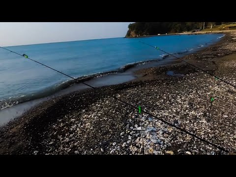 Видео: МОРСКАЯ РЫБАЛКА С БЕРЕГА / РЫБАЛКА НА ДОНКУ / ЛОВЛЯ КРАСНОПЕРКИ