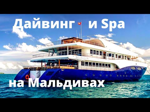Видео: ПОТРЯСАЮЩИЙ дайв-сафари по МАЛЬДИВАМ, часть 1. ЯХТА ScubaSpa - ПОЛНЫЙ комплекс ВПЕЧАТЛЕНИЙ!