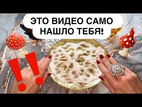 Видео: 😱💥САМОЕ ТОЧНОЕ ПРЕДСКАЗАНИЕ ИМЕННО ДЛЯ ТЕБЯ!‼️