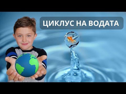 Видео: Планетата која рециклира вода повеќе од 4 милијарди години? Циклус на водата Природни науки 4-то одд