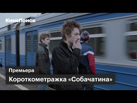 Видео: Короткометражка «Собачатина» по рассказу Захара Прилепина