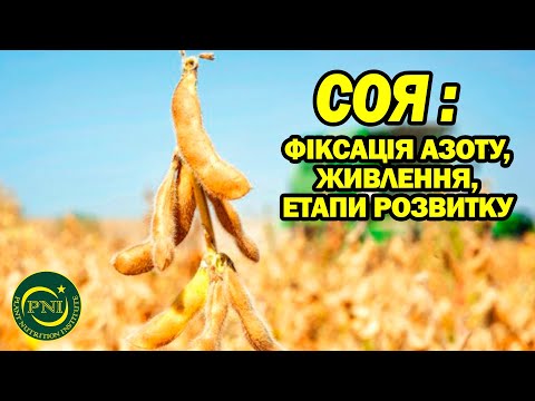 Видео: Вирощування сої: елементи живлення, етапи вирощування