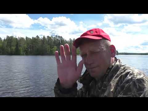 Видео: Саныч и Касатоныч ! Рыбалка на лесном озере в Карелии!
