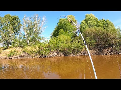 Видео: ЭТА НАЖИВКА СОБИРАЕТ ВСЮ РЫБУ! ЧЕРВЬ МОЛЧИТ А ХИМИЯ РАБОТАЕТ! Снасть пружина и мини-бойлы на карася