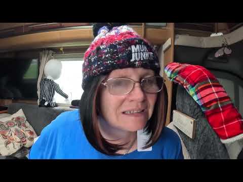 Видео: Примеряю новые парики Shein Haul!