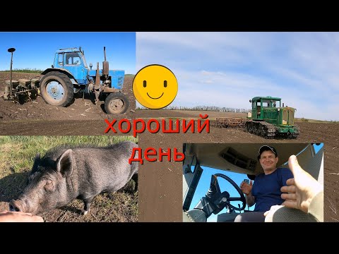 Видео: Весняні роботи... Т 74 .мтз 80...