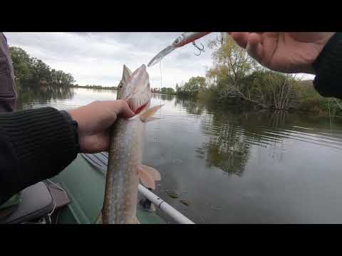 Видео: Ловля Щуки на воблеры
