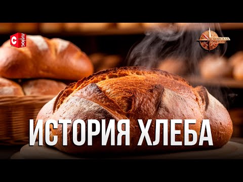 Видео: Раскрыт СЕКРЕТ ВКУСНОГО хлеба | Вся правда о выпечке | ИСТОРИЯ ХЛЕБА