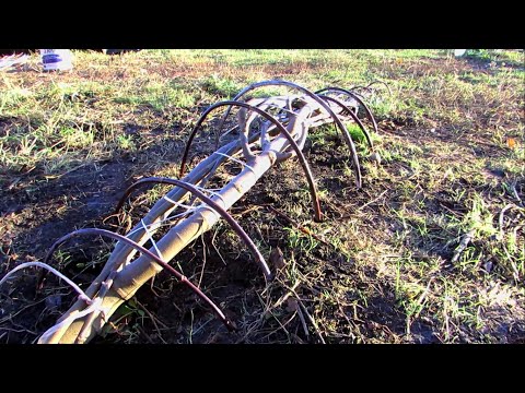Видео: Укрытие инжира на зиму без канавок.
