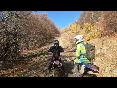 Видео: Мургаш 2.11.25б