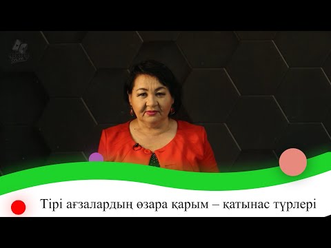Видео: Тірі ағзалардың өзара қарым-қатынас түрлері. 8 сынып.