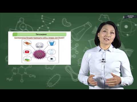 Видео: Биология - 6 класс - Бактериялар