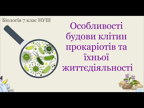 Видео: Біологія 7 клас НУШ. Особливості будови клітин прокаріотів та їхньої життєдіяльності