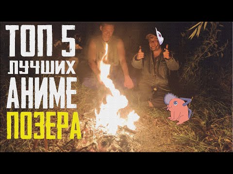 Видео: ТОП-5 Лучших Аниме Позера