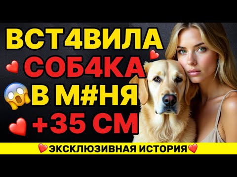 Видео: Жена забыла закрыть дверь в ванную – я случайно вошёл внутрь