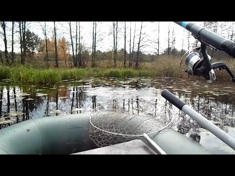 Видео: Оз Великое Щука на живца 13 10 21