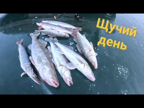 Видео: ЩУКИ и СУДАКИ из под стаи леща!!! Зимняя рыбалка!!! Декабрь 2024