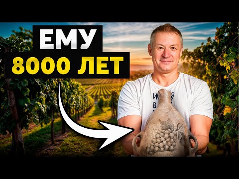 Видео: КАК делали ВИНО в Древности? ⎪История Создания Вина от Винодела