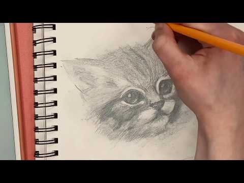 Видео: Как рисовать котёнка карандашом. Урок рисования