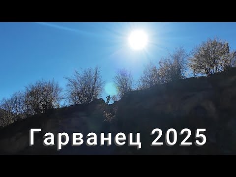 Видео: Гарванец 2025 ден втори