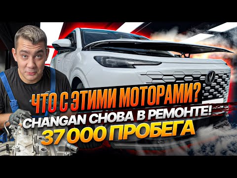 Видео: Мотор Changan умер на 37 000 км! ШОК