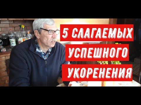 Видео: Как успешно укоренить черенки винограда?