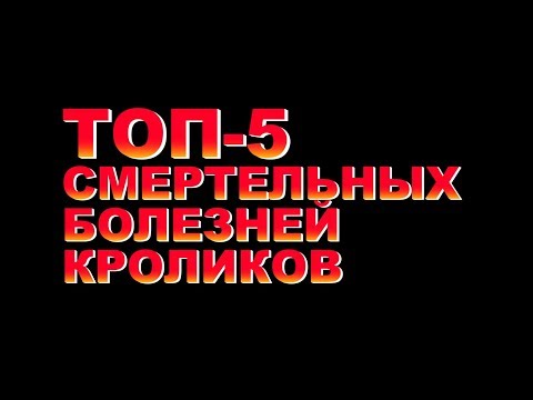 Видео: ТОП-5 СМЕРТЕЛЬНЫХ БОЛЕЗНЕЙ КРОЛИКОВ (16+)