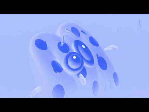 Видео: Основные заставки (Мульт, 01.06.2014-н.в.) (Оригинал) (Full HD) in Chorded