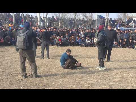 Видео: Аксыда машина сайылган күрөш катуу кызыды. Эл жыйылып көп келди