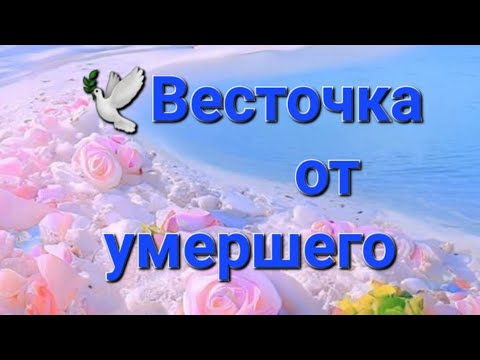 Видео: 🕊🕊🌟🌟 Весточка от умершего, от ушедшей в мир иной Души ✨️ 🕊 ✨️ 🕊 