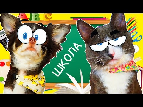 Видео: ЮМИ и АЛИСА ИДУТ в ШКОЛУ ПОКЕМОН и КОТОМОНСТР готовятся к ШКОЛЕ | Magic Pets