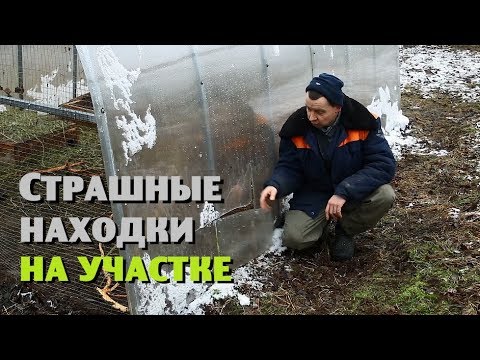 Видео: Страшные находки на участке//А ведь зрители предупреждали...