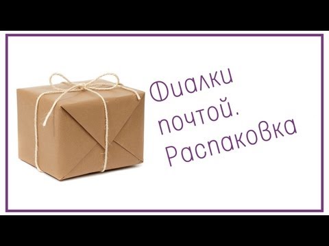 Видео: Фиалки почтой. Распаковка.