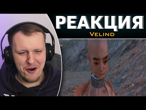 Видео: История одного раба (Хайлайты со стрима) | Реакция на Velind