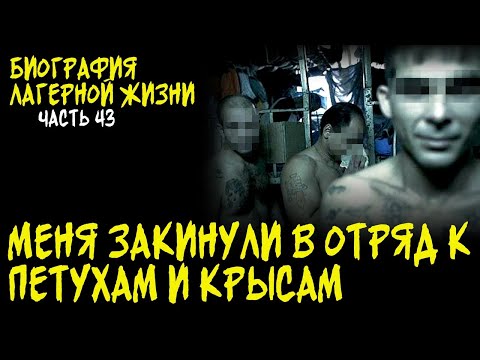 Видео: ОТРЯД В ЗОНЕ НАПОЛОВИНУ СОСТОИТ ИЗ ПЕТУХОВ И КРЫС / РАБОТА НА ПРОМКЕ В КРАСНОЙ ЗОНЕ / БИОГРАФИЯ