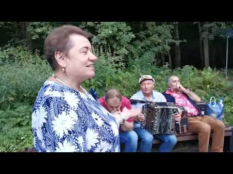 Видео: Измайловский пятачок, жаркий август! весёлая Матаня под гармонь. 😊 Гармонист Юрий Степашкин