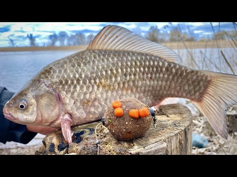 Видео: ХОД КРУПНОГО КАРАСЯ!!! Рибалка на СНАСТЬ АРБУЗ🍉🍉🍉