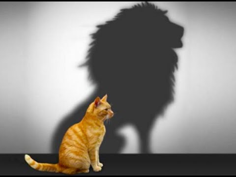 Видео: Я-концепция.