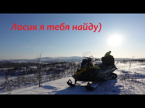 Видео: Скандик 900 АСЕ  в поисках  Лося))