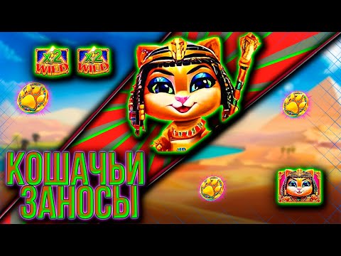 Видео: ПРОСТО ОТРЫВ БОШКИ С КЛЕОКАТРОЙ!!!#бонусбай #slot #занос #заносынедели