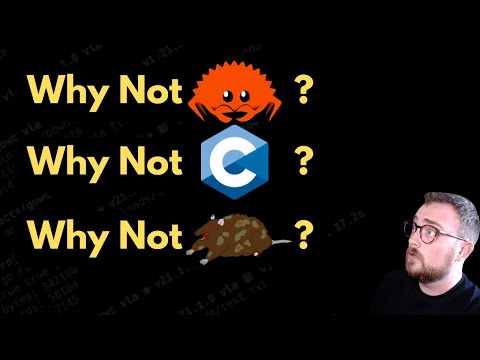 Видео: Почему Zig, а не Rust, C, C++, Odin, Nim и т. д.?