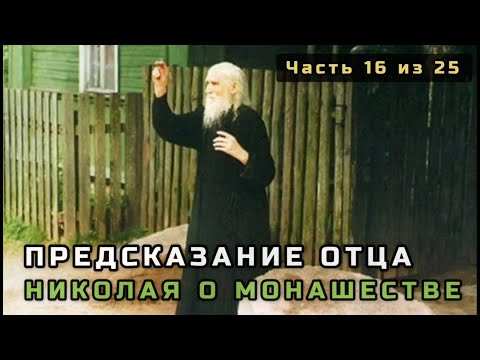 Видео: 16. Предсказание отца Николая Гурьянова о монашестве. Несвятые святые в цвете. Часть 16 из 25