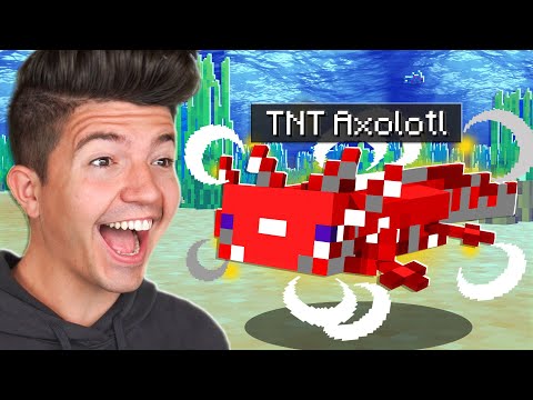 Видео: Minecraft, но есть и пользовательские Аксолотли...