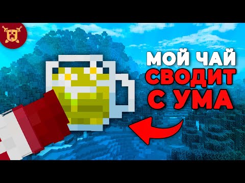 Видео: МайнШилдовцы ДУРЕЮТ с моего ЧАЯ!