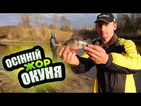 Видео: Все буде🇺🇦 Клювало за кожним закидом🐟 Нарешті порибалили🐟 Як зробить щоб завжди клювало