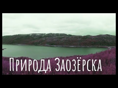 Видео: Природа Заозерска/Заброшенное КПП