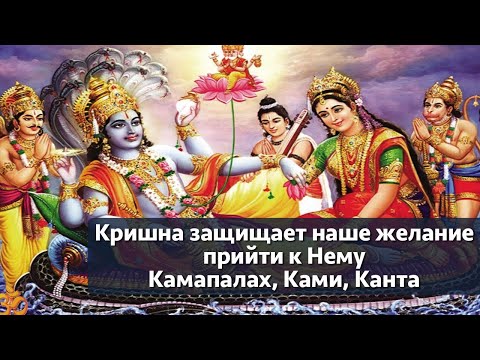 Видео: Кришна защищает наше желание прийти к Нему | Камапалах, Ками, Канта