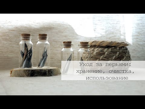 Видео: Уход за перьями: хранение, обработка, использование