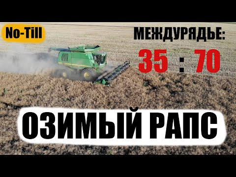 Видео: Уборка озимого рапса комбайном Джон Дир 9760. Урожайность с 35 и 70см.